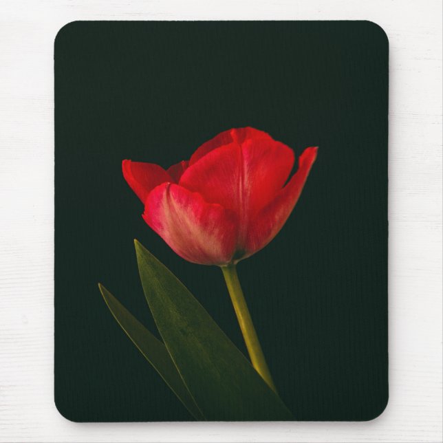 Mousepad Tulip Vermelho solteiro (Frente)