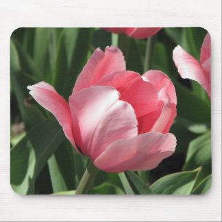 Mousepad Tulipa