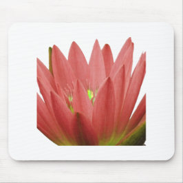 Mousepad Tulipa Rosa