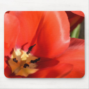 Mousepad tulipa vermelha