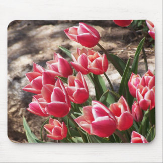 Mousepad Tulipas