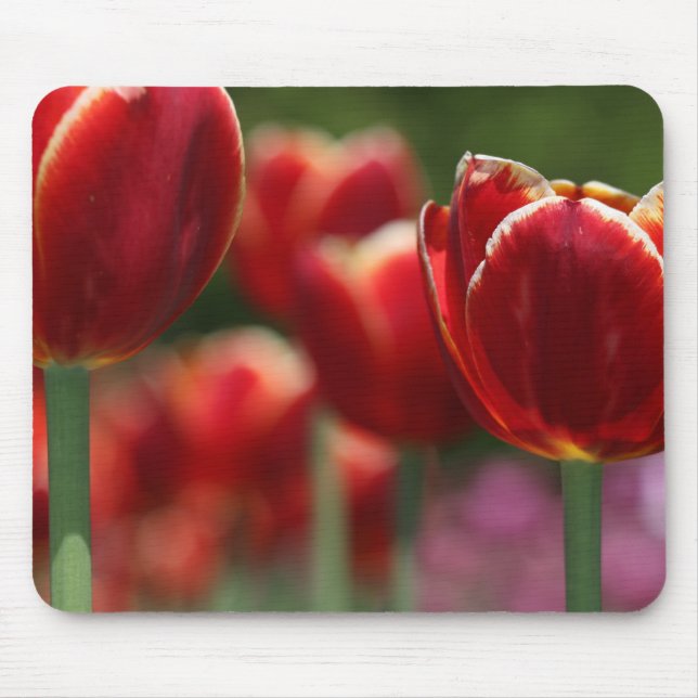 Mousepad Tulipas (Frente)