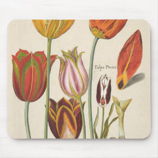 Mousepad Tulipas (Frente)