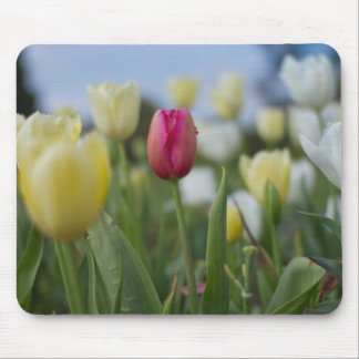 Mousepad Tulipas