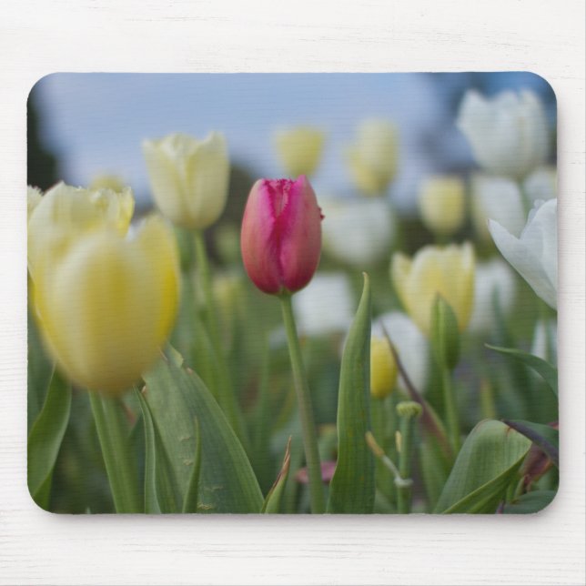 Mousepad Tulipas (Frente)