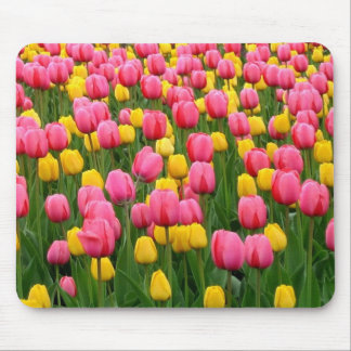 Mousepad Tulipas 1 tapete do rato