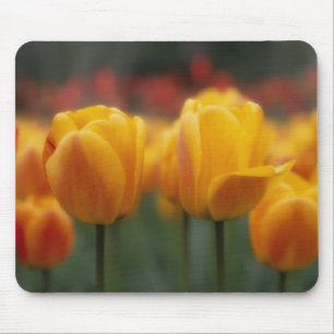 Mousepad Tulipas 2
