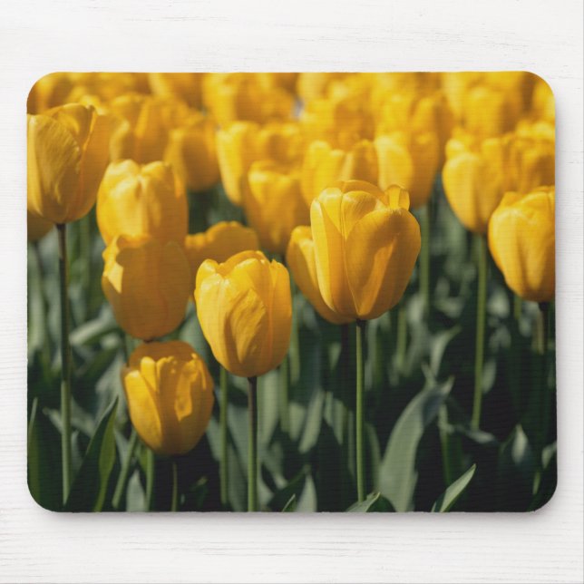 Mousepad Tulipas 3 (Frente)
