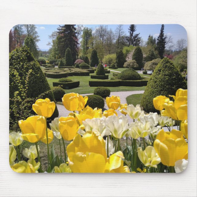 Mousepad Tulipas Amarelas de Arboretum Volcji Potok Eslovên (Frente)