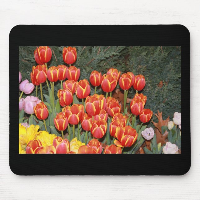 Mousepad Tulipas Bloomin! (Frente)