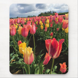 Mousepad Tulipas bonito de Primavera em campo, Oregon