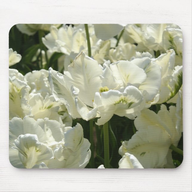 Mousepad Tulipas brancas (Frente)