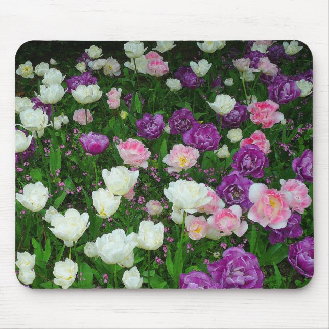 Mousepad Tulipas Coloridas (Frente)