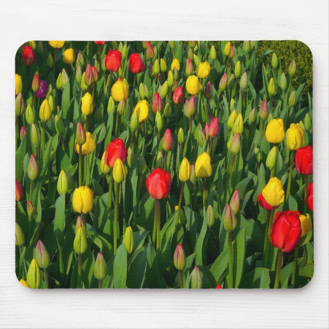 Mousepad Tulipas Coloridas (Frente)