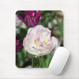 Mousepad Tulipas cor-de-rosa brilhantes num dia ensolarado