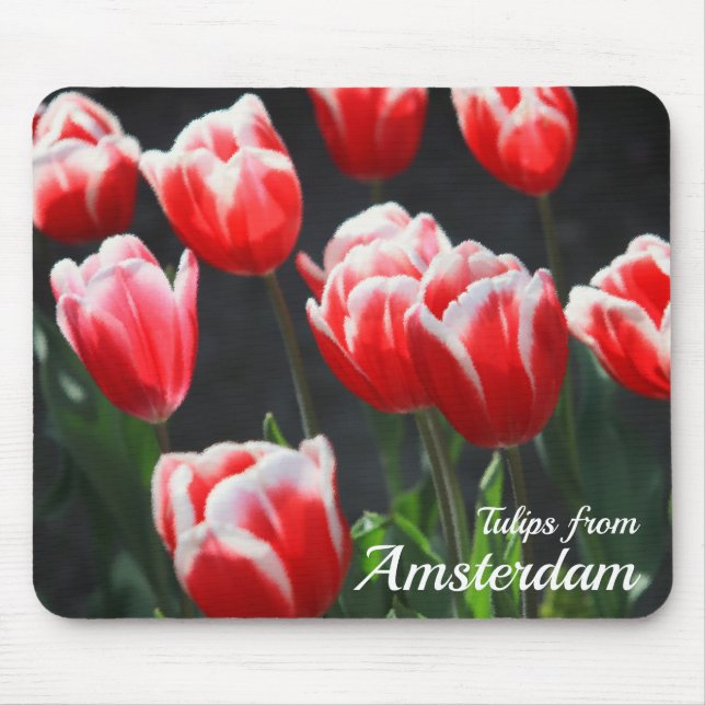 Mousepad Tulipas de Amsterdã (Frente)