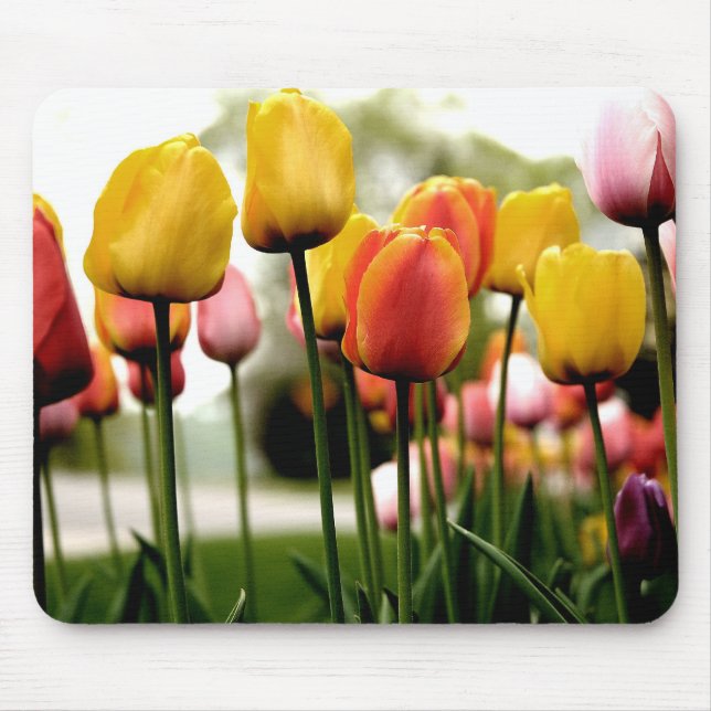 Mousepad Tulipas de Kelsy (Frente)