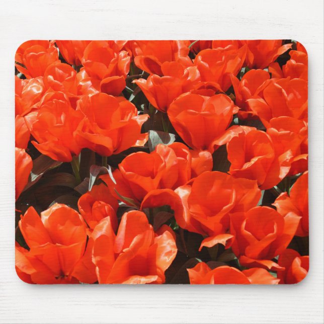 Mousepad Tulipas de laranja (Frente)