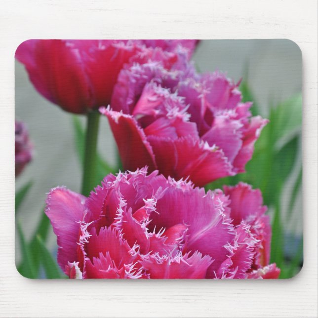 Mousepad Tulipas de papagaio rosa (Frente)
