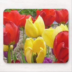Mousepad Tulipas do Jardim Botânico
