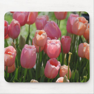 Mousepad Tulipas do primavera