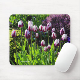 Mousepad Tulipas do triunfo do sinalizador branco Elegante