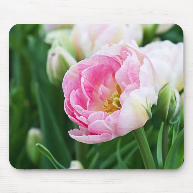 Mousepad Tulipas Duplas (Frente)