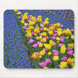 Mousepad Tulipas e jardim dos bluebells