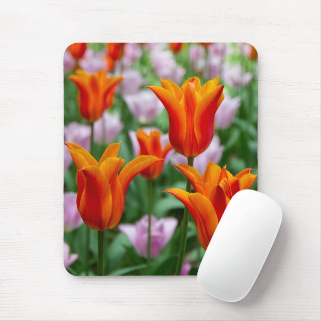 Mousepad Tulipas laranja-claras no parque (Com mouse)
