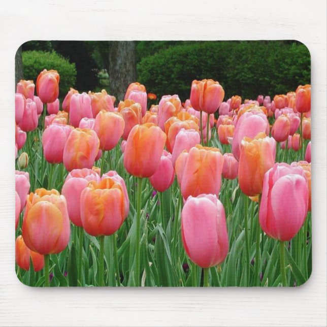 Mousepad Tulipas nº 1 (Frente)
