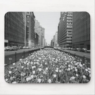 Mousepad Tulipas no meio da rua da cidade