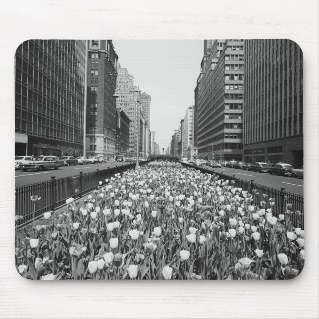 Mousepad Tulipas no meio da rua da cidade (Frente)