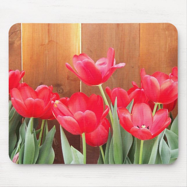 Mousepad Tulipas Pintadas (Frente)