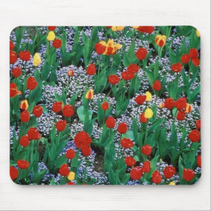 Mousepad tulipas por TDGallery