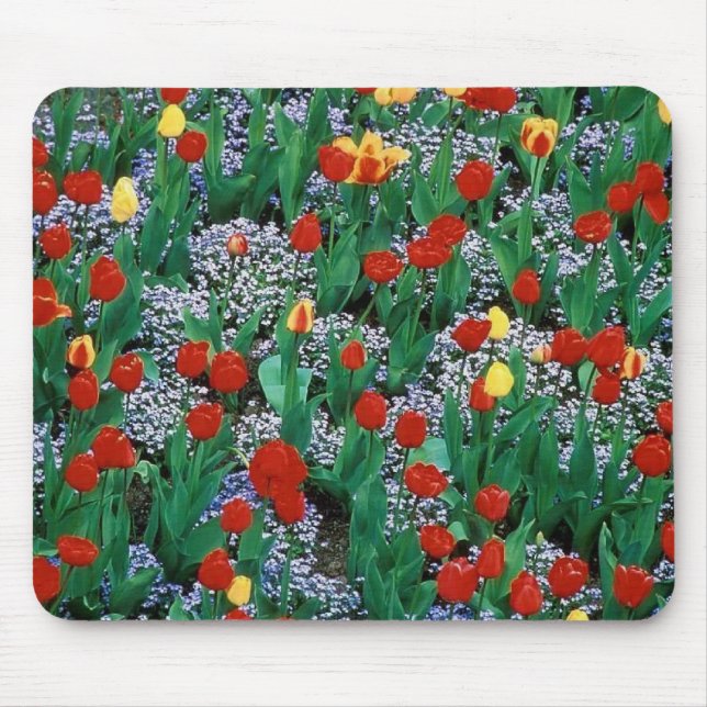 Mousepad tulipas por TDGallery (Frente)