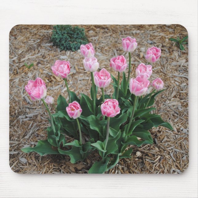 Mousepad Tulipas Rosa (Frente)