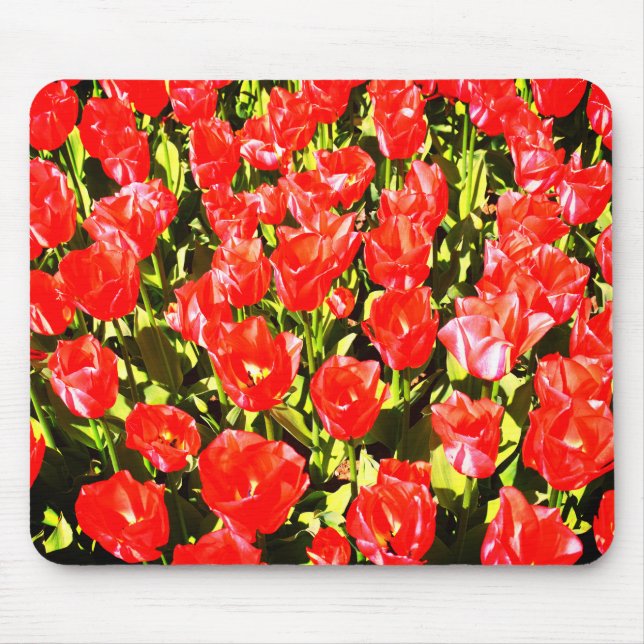 Mousepad Tulipas vermelhas (Frente)