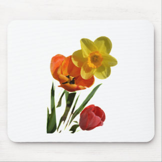 Mousepad Tulipas vermelhas e flores daffodil amarelas