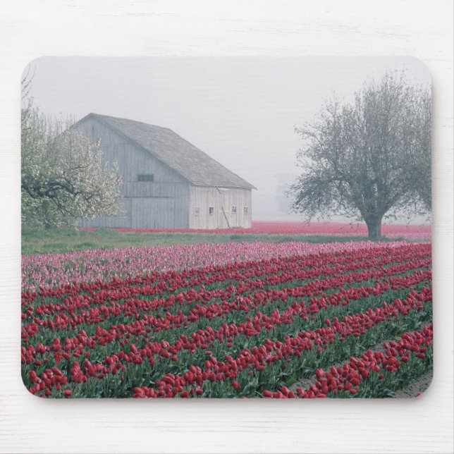Mousepad Tulipas vermelhas e rosadas cumprimentam o dia em  (Frente)