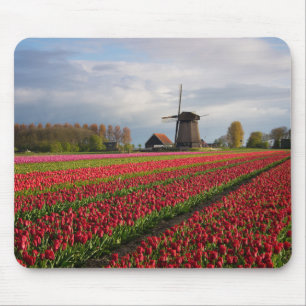 Mousepad Tulipas vermelhas e um moinho de vento