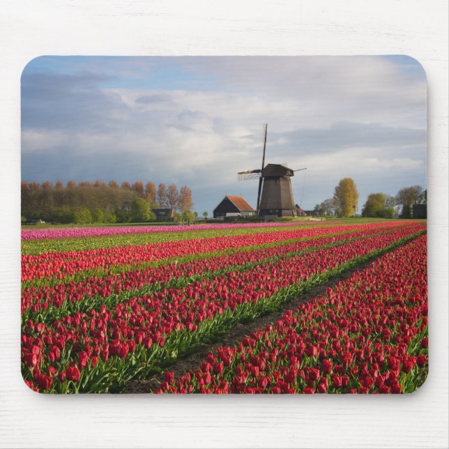 Mousepad Tulipas vermelhas e um moinho de vento (Frente)