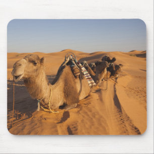 Mousepad Tunísia, Área Ksour, Ksar Ghilane, Grand Erg 5