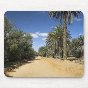 Mousepad Tunísia, Área Ksour, Ksar Ghilane, palmeira-dátil