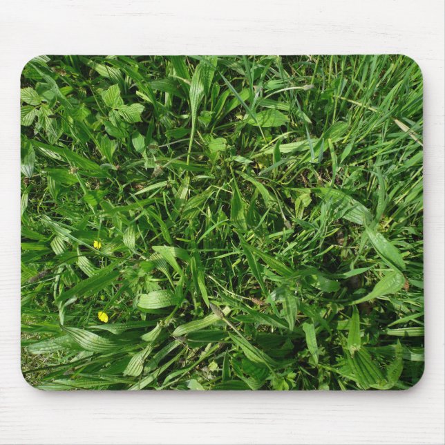 Mousepad Turf (Frente)
