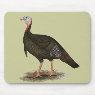 Mousepad Turquia: Tom Selvagem Oriental