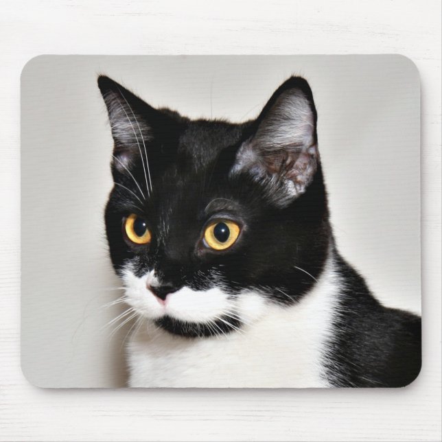 Mousepad Tuxedo cat (Frente)