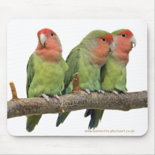 Mousepad Tweet Trio Mousemat