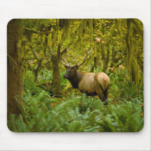 Mousepad Uapiti Roosevelt macho