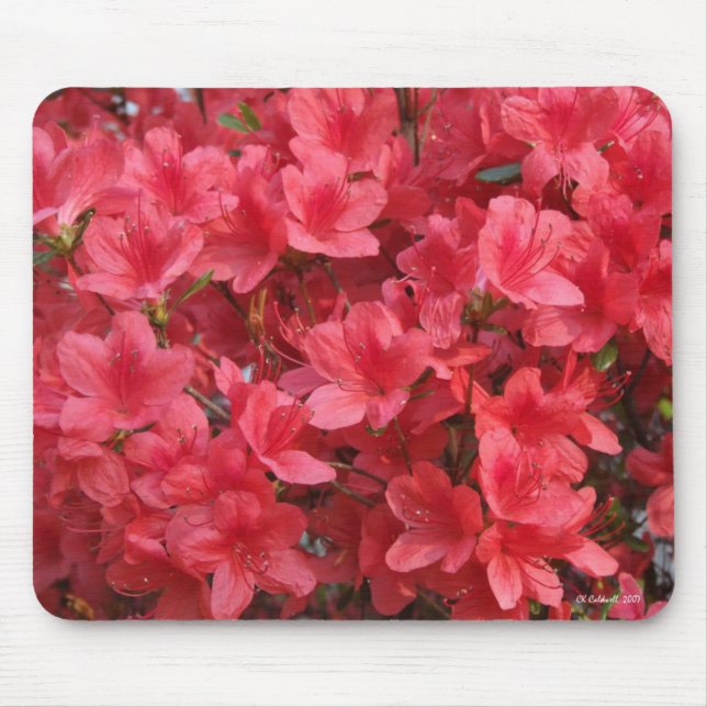 Mousepad Uau! (Frente)