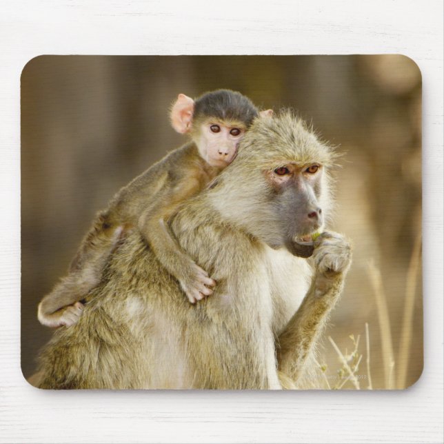 Mousepad Um Baboão Amarelo criança (Papio (Frente)